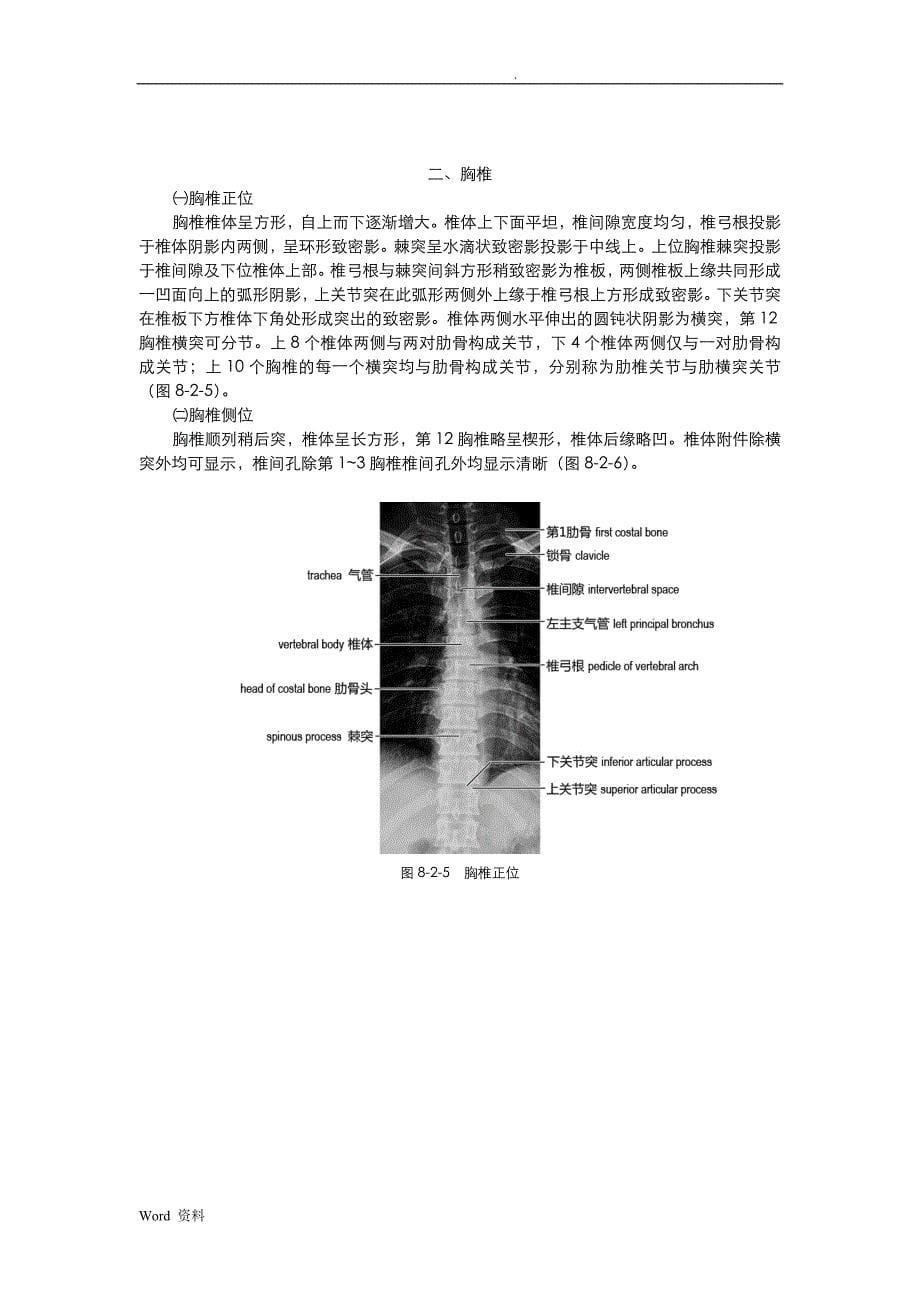 脊柱和脊髓影像解剖_第5页