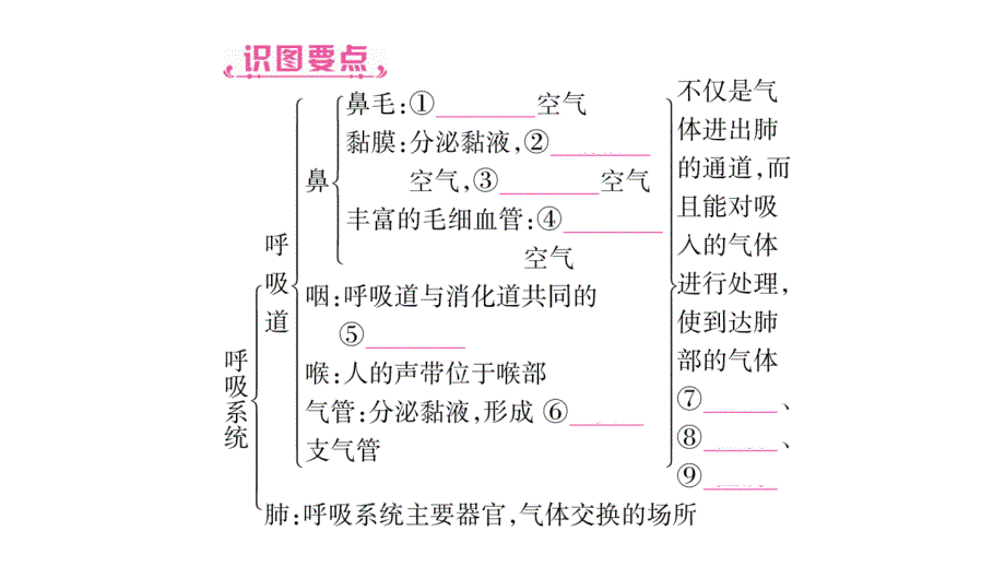 2020年 中考生物第一轮复习资料 掌控中考人教版 (31)_第4页