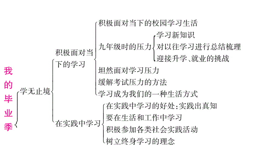 2020年 中考道德与法治第一轮复习资料 掌控中考 人教版(29)_第4页