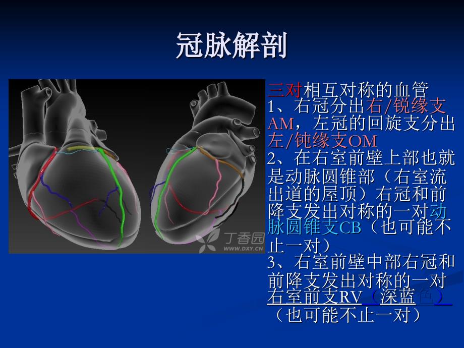 冠心病的外科治疗CS.ppt_第3页