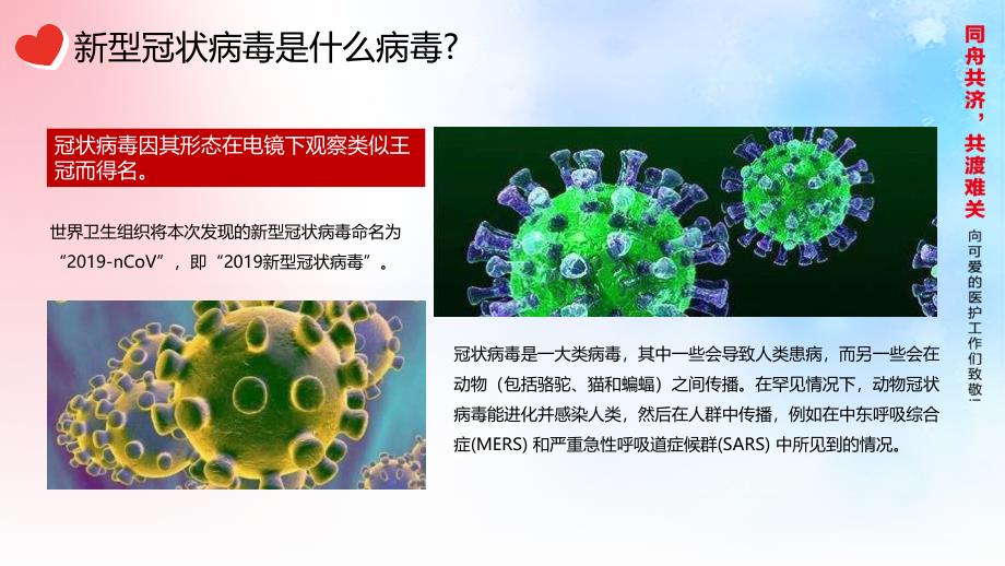 武汉预防肺炎新型冠状病毒感染PPTX模板_第4页