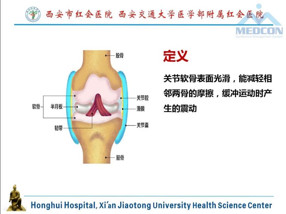 阶段式康复护理模式对膝关节软骨细胞膜片移植术康复效果_第3页