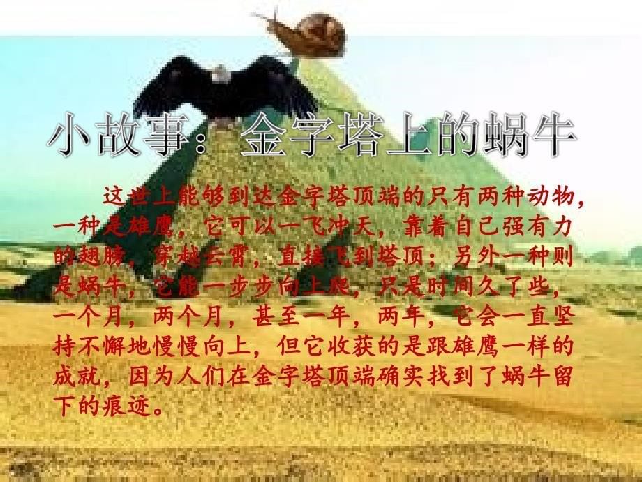 团体心理辅导放飞梦想.ppt_第5页