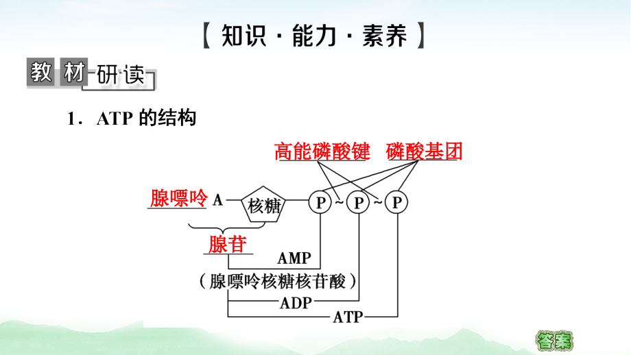 2021版高考生物（苏教版）一轮复习课件：必修1 第3单元 第1讲　ATP和酶_第4页