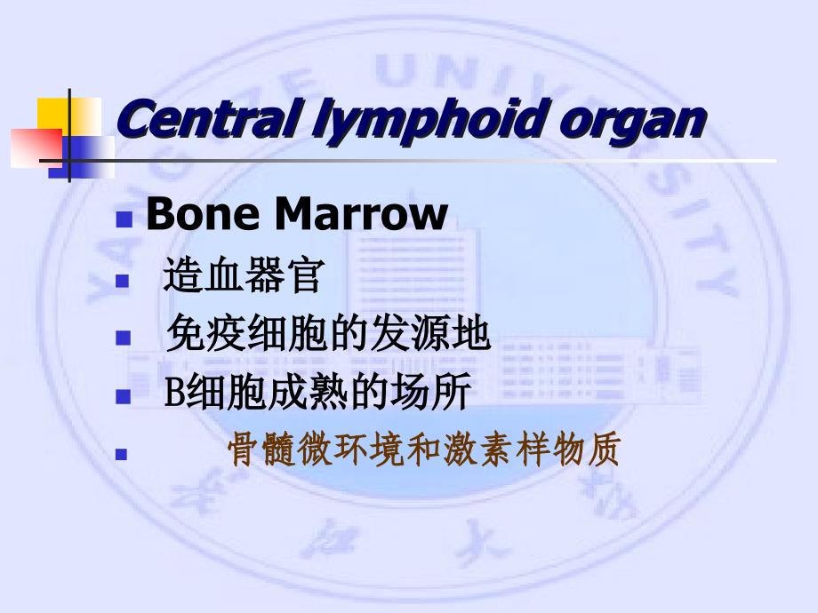 长江大学医学院医学免疫学课件 第二章 免疫组织和器官_第3页