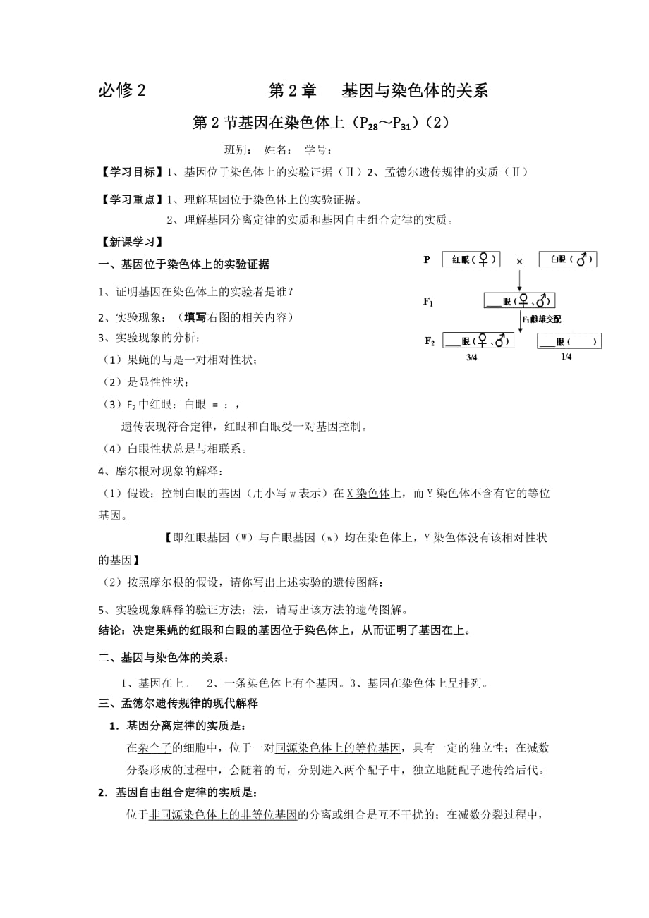 广东省高明实验中学高中生物必修二人教导学案：第2章 第2节 基因在染色体上（2）_第1页