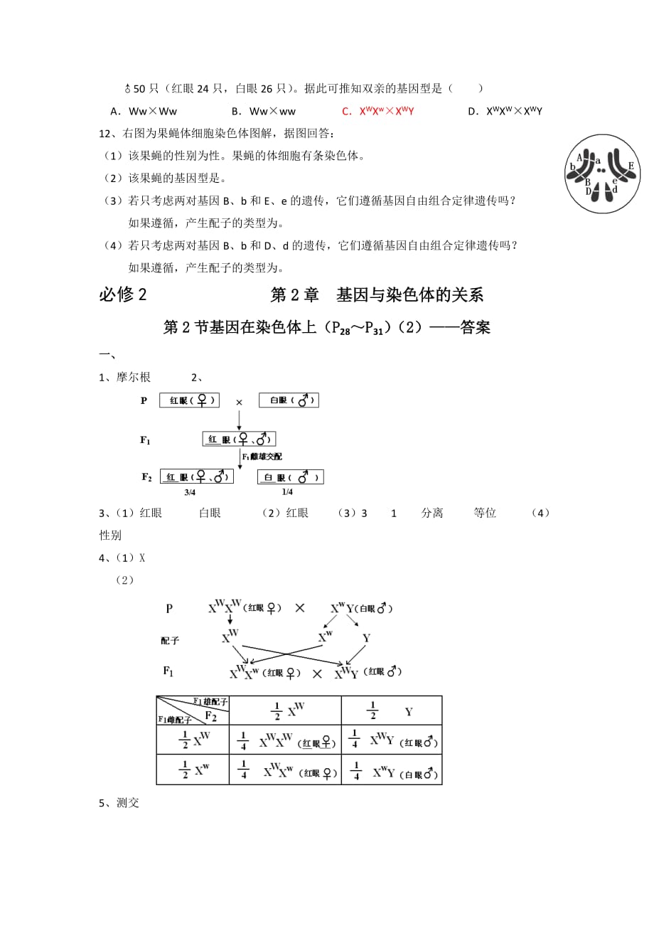 广东省高明实验中学高中生物必修二人教导学案：第2章 第2节 基因在染色体上（2）_第3页