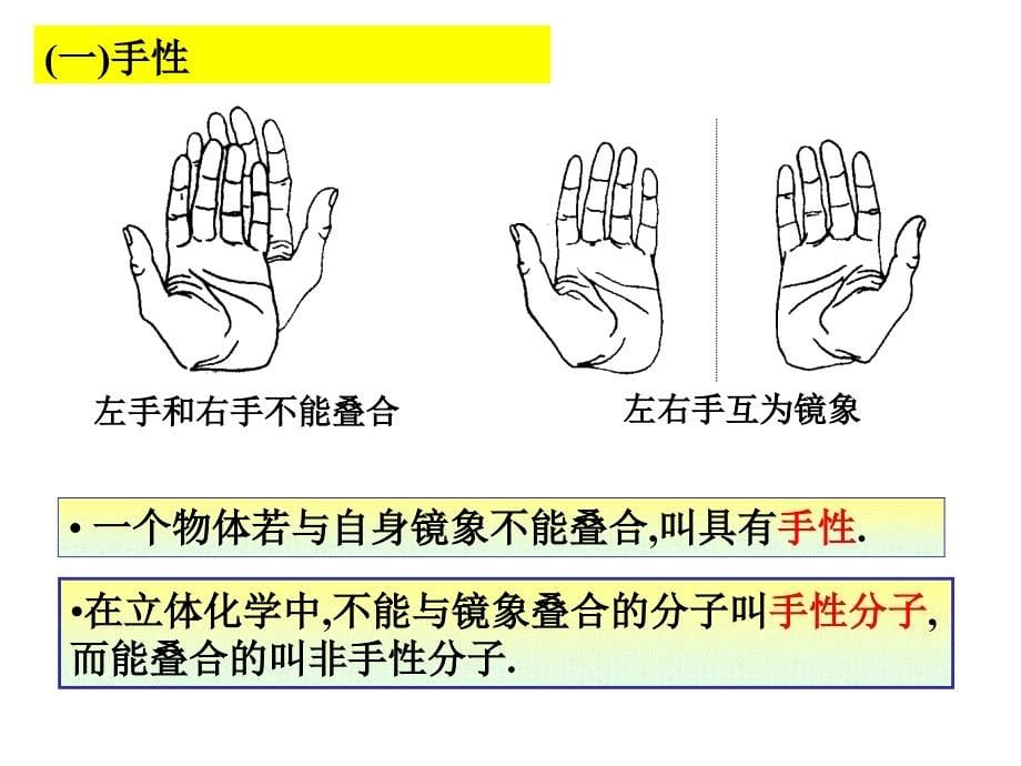 有机化学课件 第五章立体异构_第5页