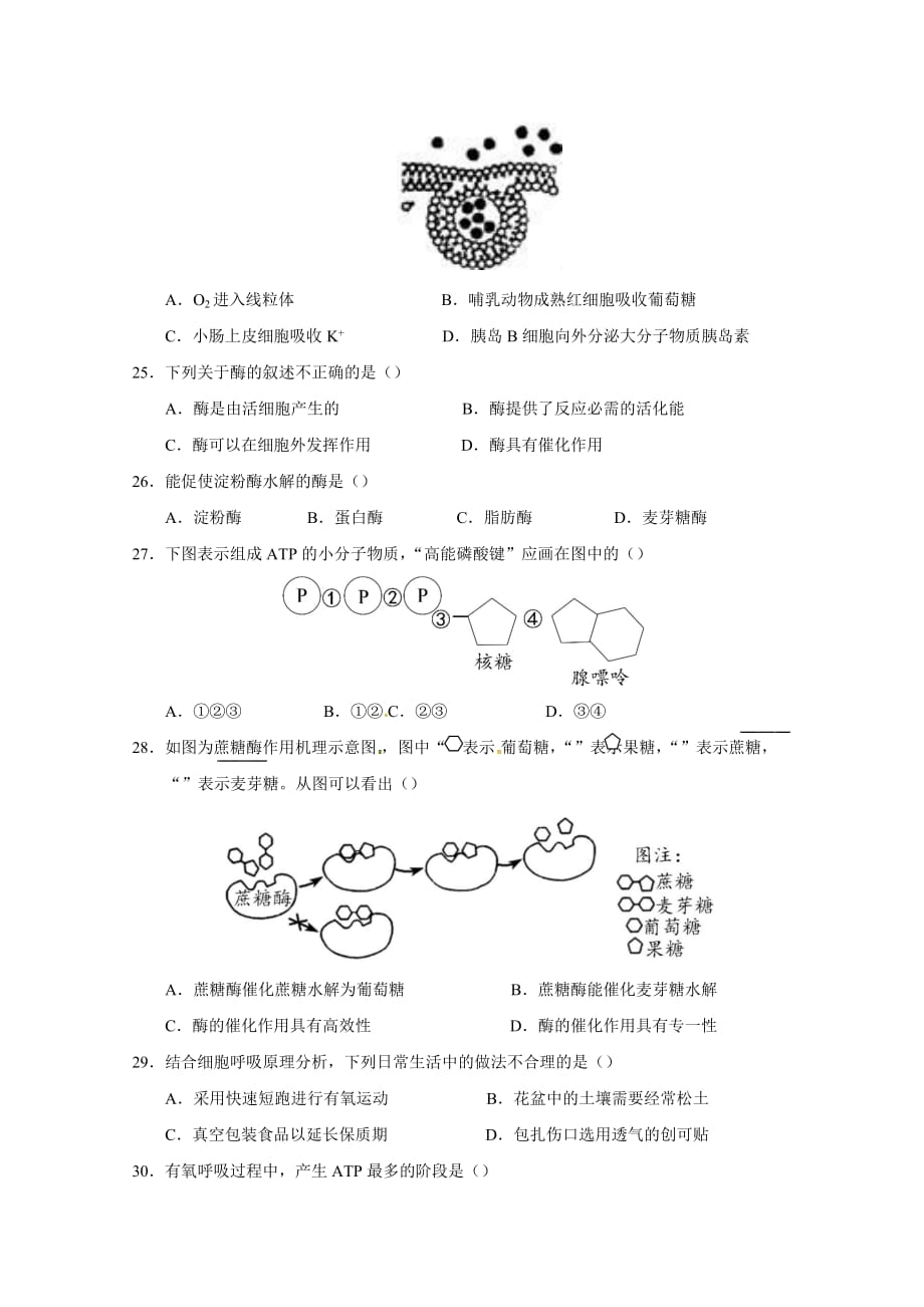 江苏省高一上学期第二次限时训练生物试题 Word缺答案_第4页