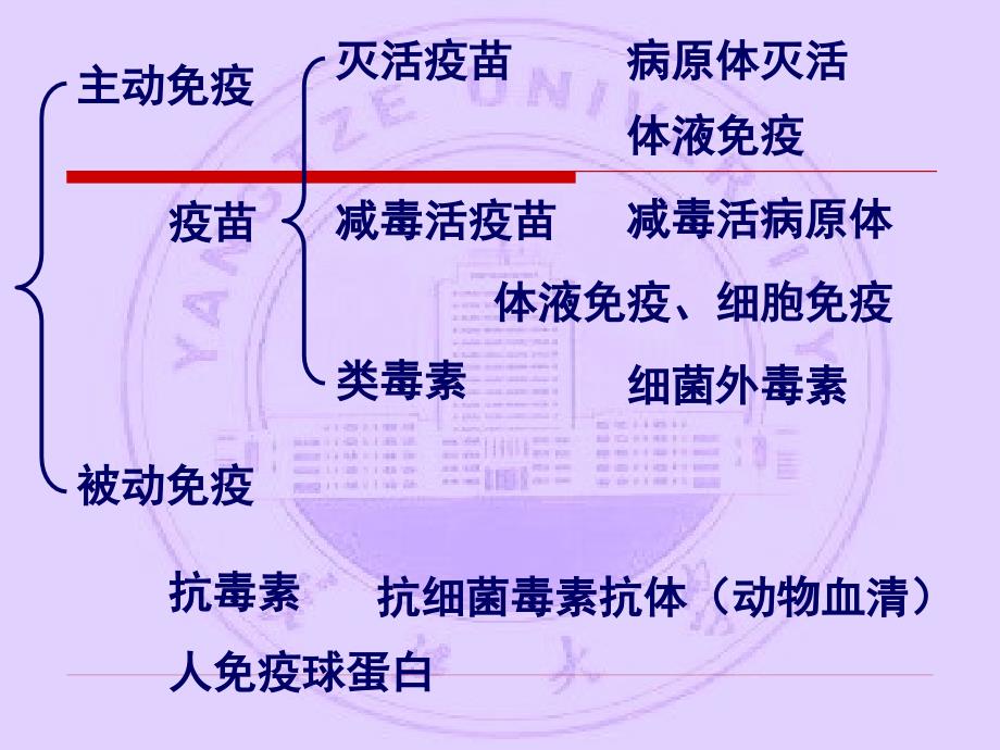 长江大学医学院医学免疫学课件 第二十五章 免疫学防治_第4页