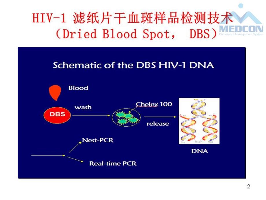 干血斑用于HIV分子生物学检测的研究_第3页