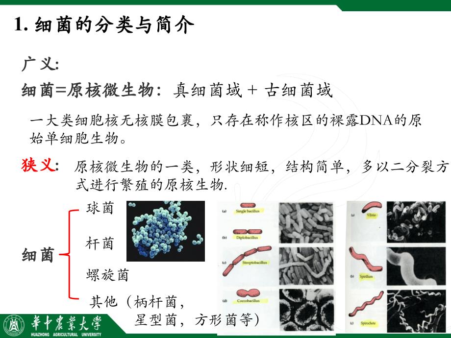 化学信息学与农药分子设计PPT课件_第3页