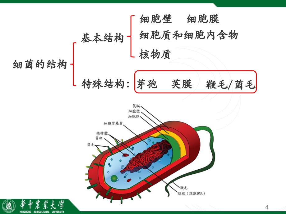 化学信息学与农药分子设计PPT课件_第4页