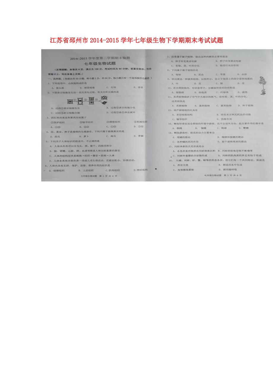 江苏省邳州市七年级生物下学期期末考试试题（扫描版）_第1页
