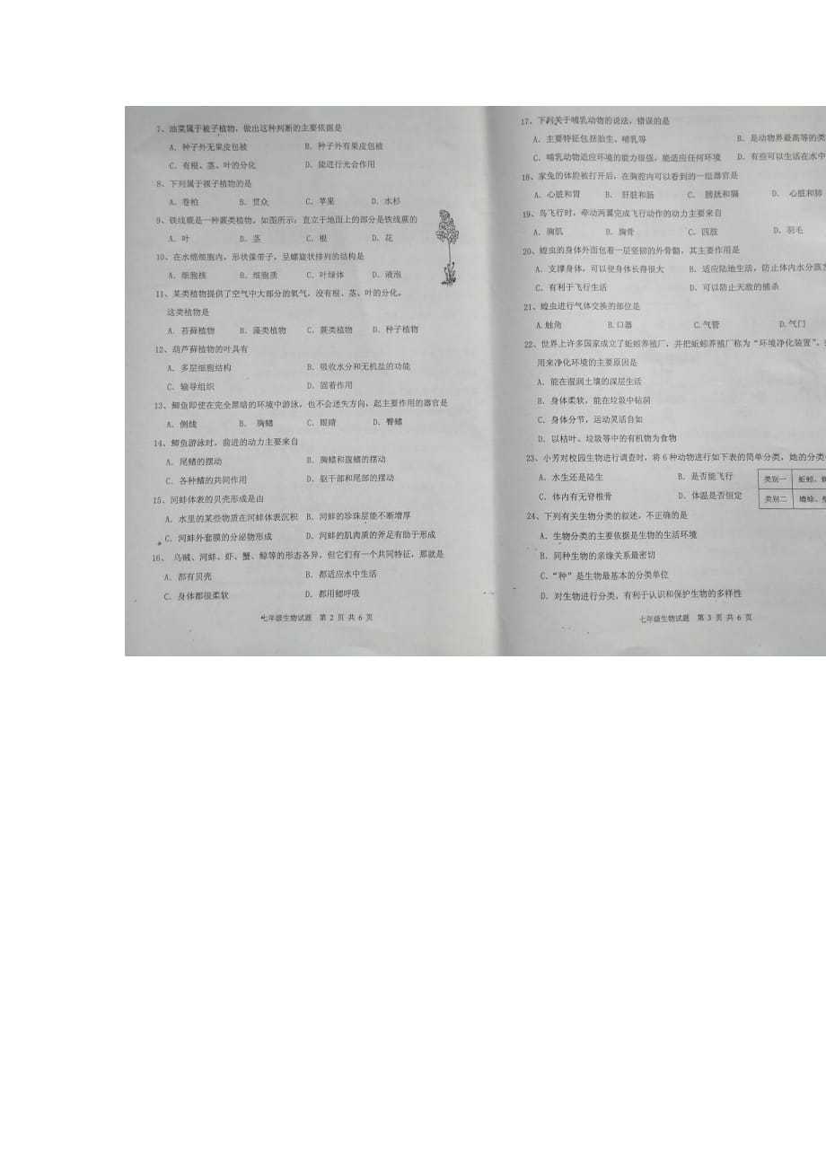 江苏省邳州市七年级生物下学期期末考试试题（扫描版）_第2页