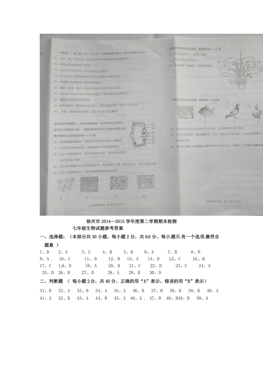江苏省邳州市七年级生物下学期期末考试试题（扫描版）_第4页