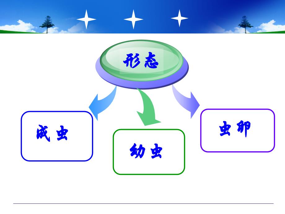 华支睾吸虫PPT课件_第4页