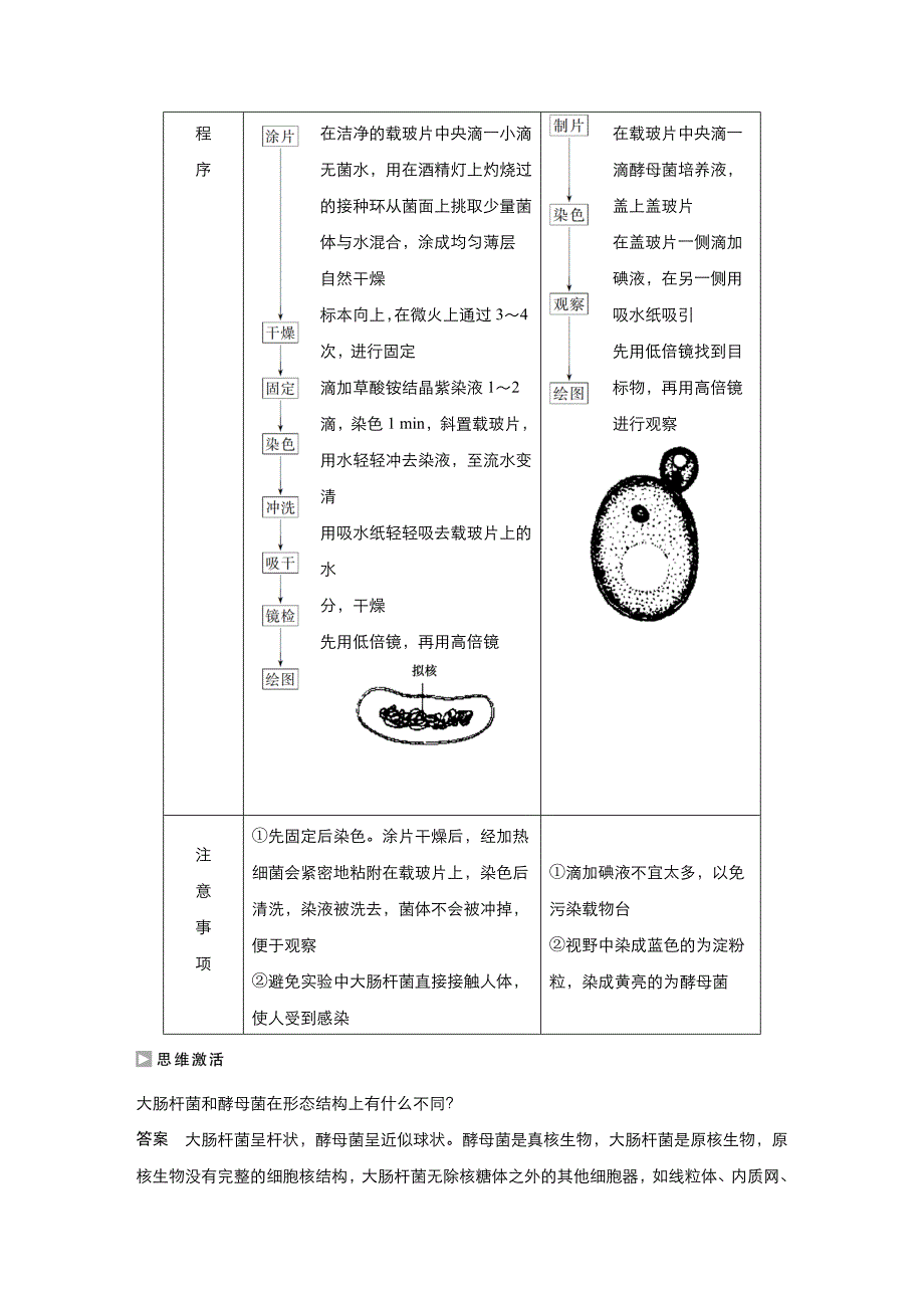 新设计生物同步必修一中图讲义：第一单元 第二章 细胞的构成 第三节 Word含答案_第3页