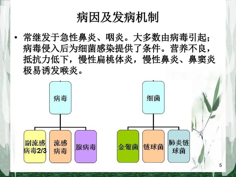 急性感染性喉炎王翠翠PPT课件_第5页