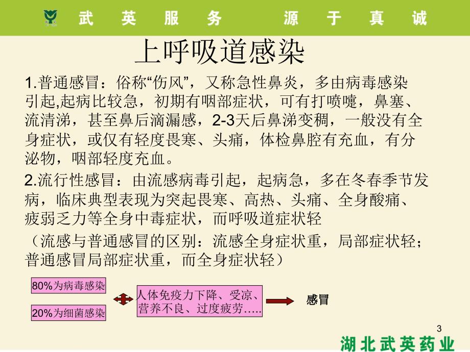 呼吸系统疾病及用药PPT课件_第3页