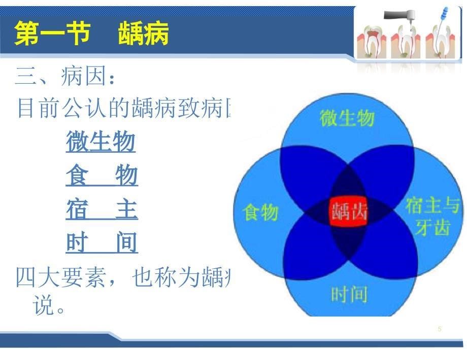 口腔科学第四章牙体牙髓病PPT课件_第5页