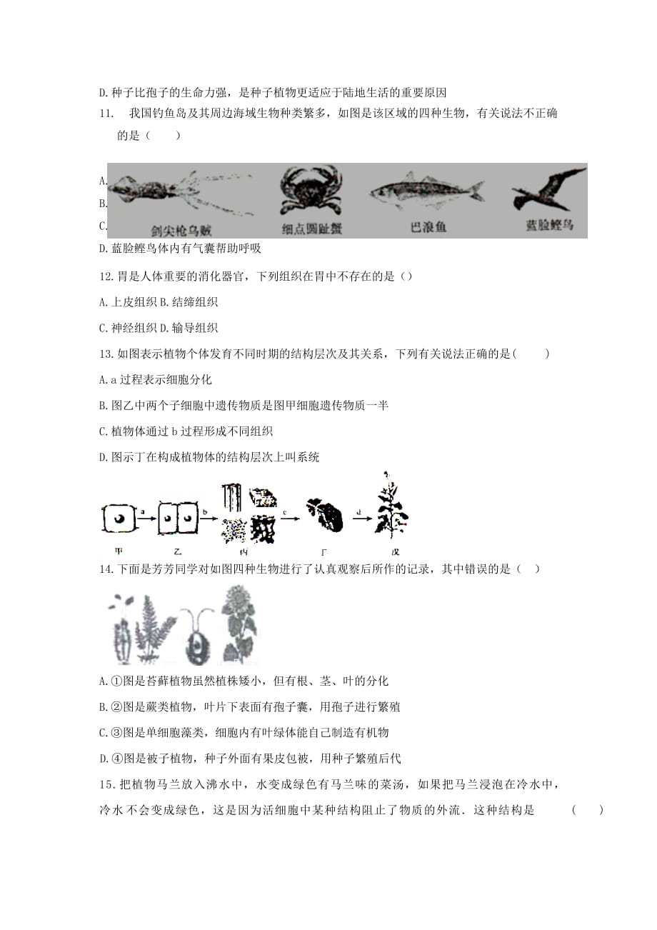 江西省宜春市九年级上学期期中考试生物试卷_第3页