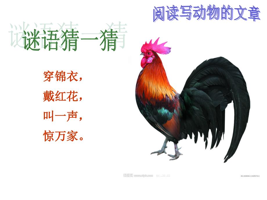 四上 阅读写动物的文章_第4页