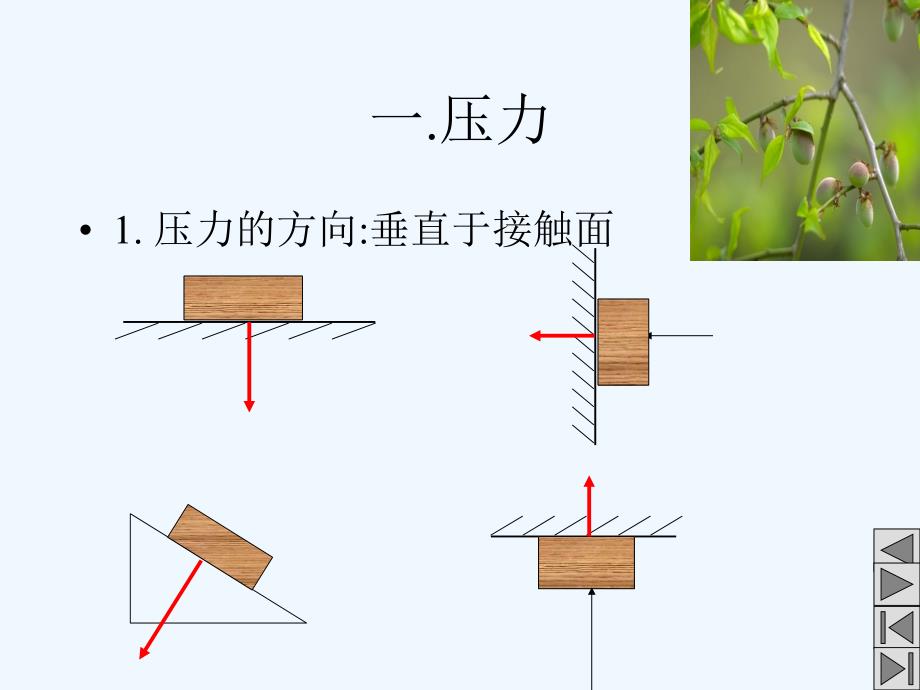 人教版九年级下《压力和压强》1_第2页