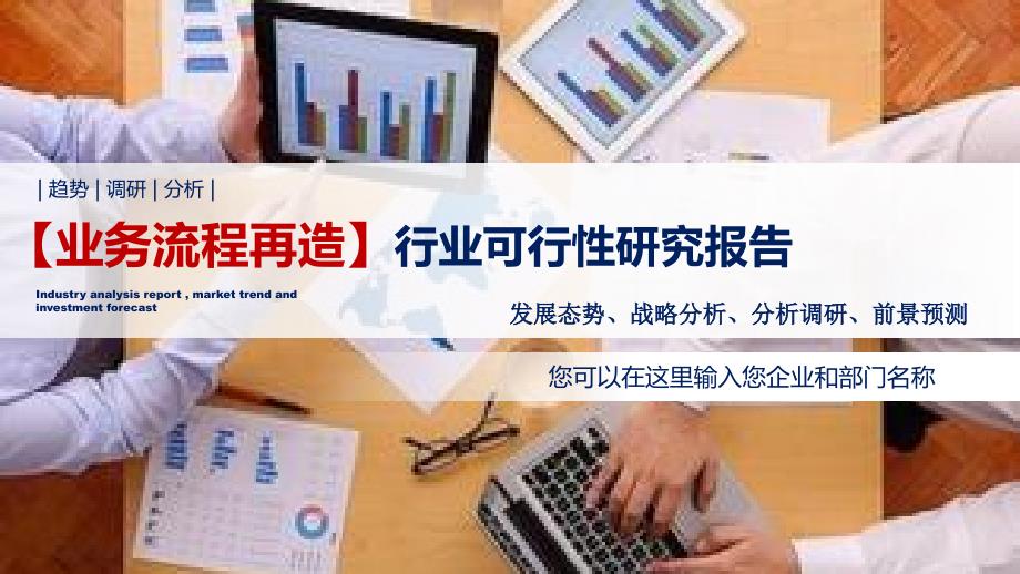 2020业务流程再造行业可行性研究报告_第1页