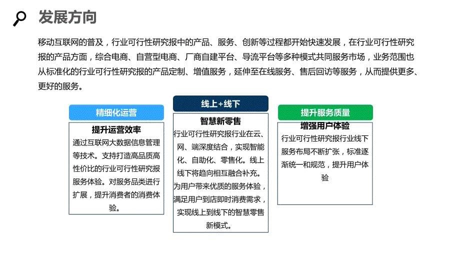 2020业务流程再造行业可行性研究报告_第5页