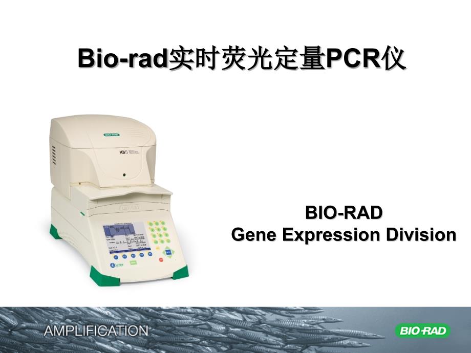Bio-Rad定量PCR说明书.ppt_第1页