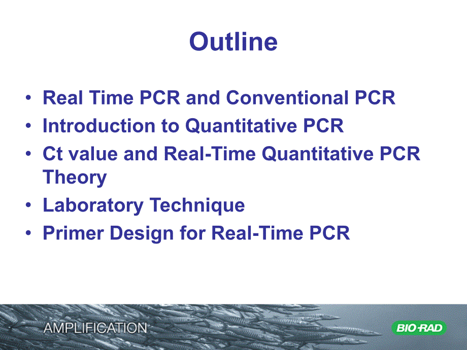 Bio-Rad定量PCR说明书.ppt_第2页