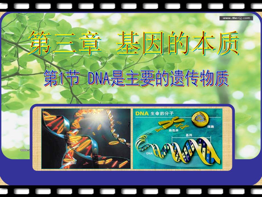 精编制作DNA是主要的遗传物质PPT(上课用)PPT课件_第1页