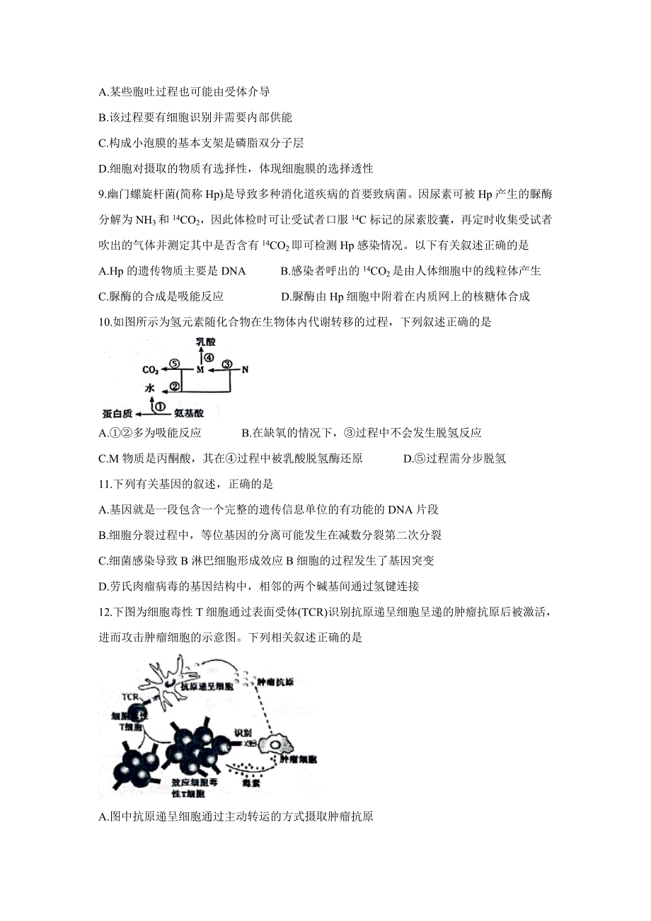 2020届浙江省浙南名校联盟高三上学期第一次联考试题生物word版_第3页