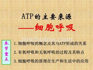 精编制作《ATP的主要来源——细胞呼吸》PPT课件