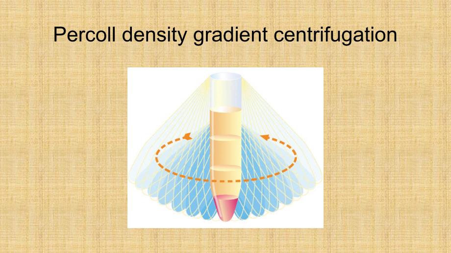 精编制作Percoll 密度梯度离心教程PPT课件_第1页