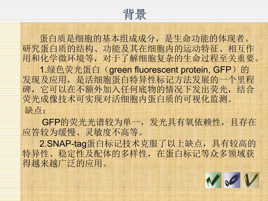 精编制作SNAP-tag蛋白标记技术PPT课件_第2页