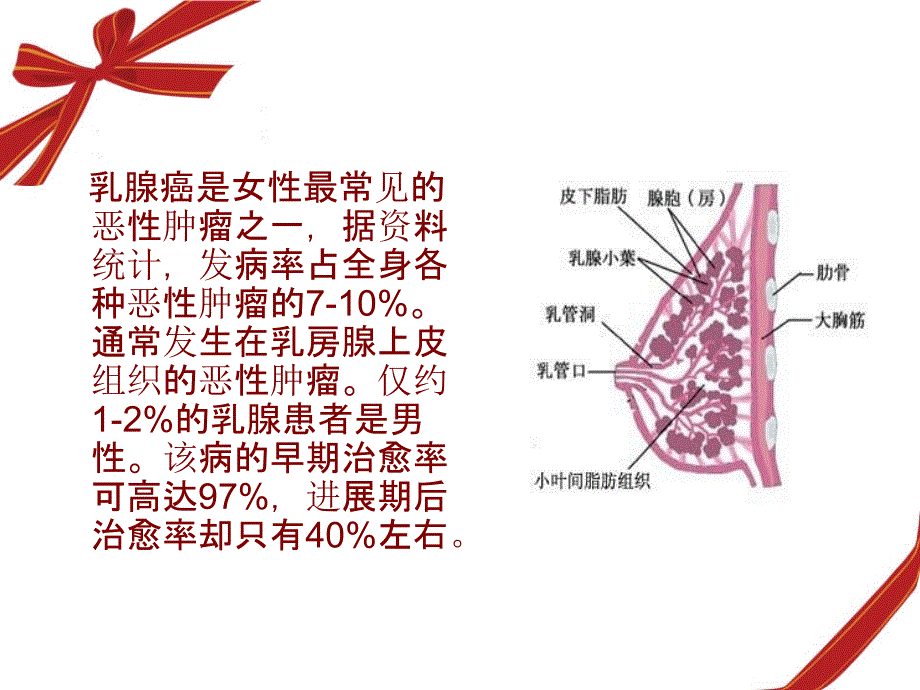 《乳腺癌护理查房》PPT课件.ppt_第2页