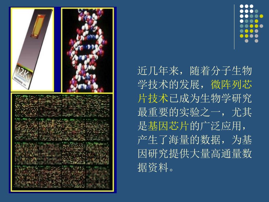 GEO数据库简介课件.ppt_第2页