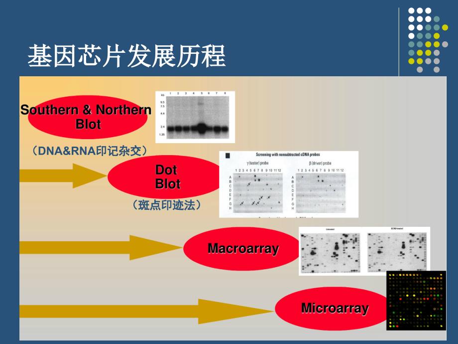 GEO数据库简介课件.ppt_第3页