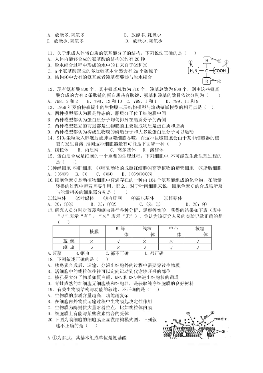 四川省2019-2020学年高一生物12月月考试题_第2页