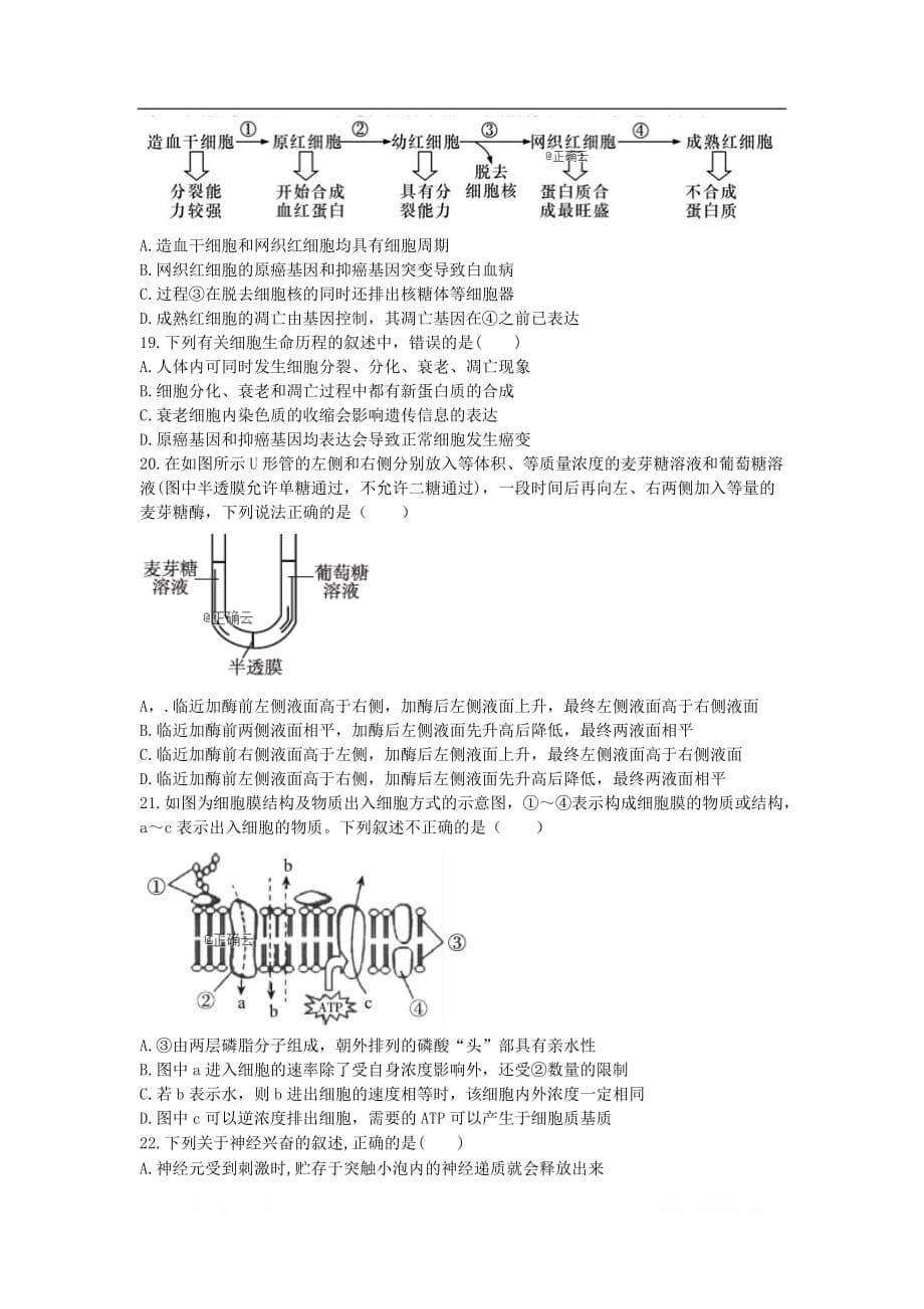 江西省赣州市宁师中学2019-2020学年高二生物12月月考试题_第5页