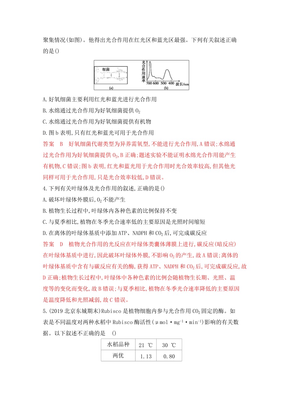 生物新攻略北京专用大一轮夯基提能作业：第8讲 光合作用 Word含解析_第2页