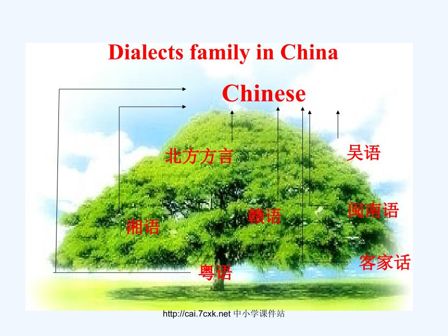 人教版高中英语必修一Unit 2《English around the world》（Using Language）期末复习课件_第4页