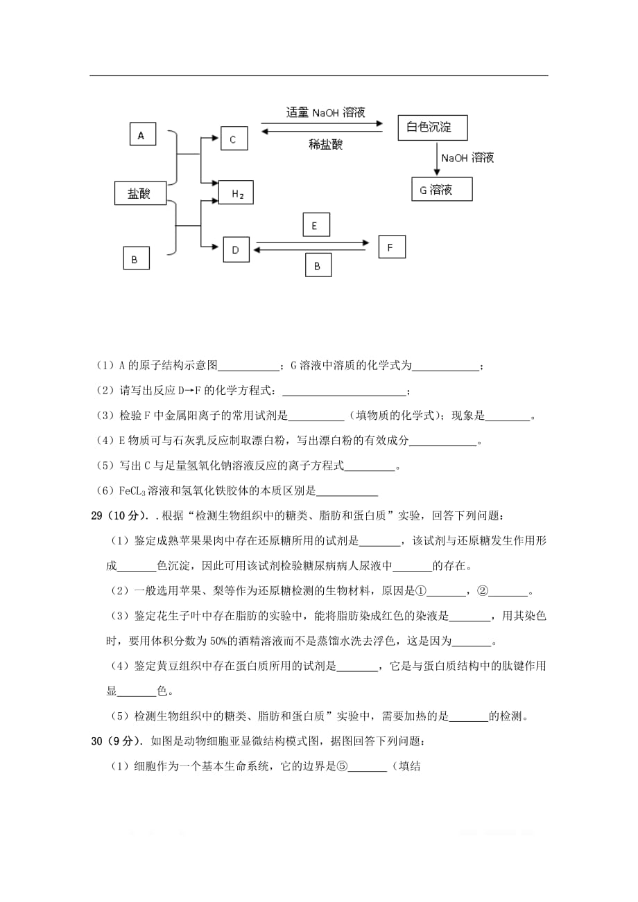 广西壮族自治区田阳高中2019-2020学年高一化学12月月考试题无答案2_第3页