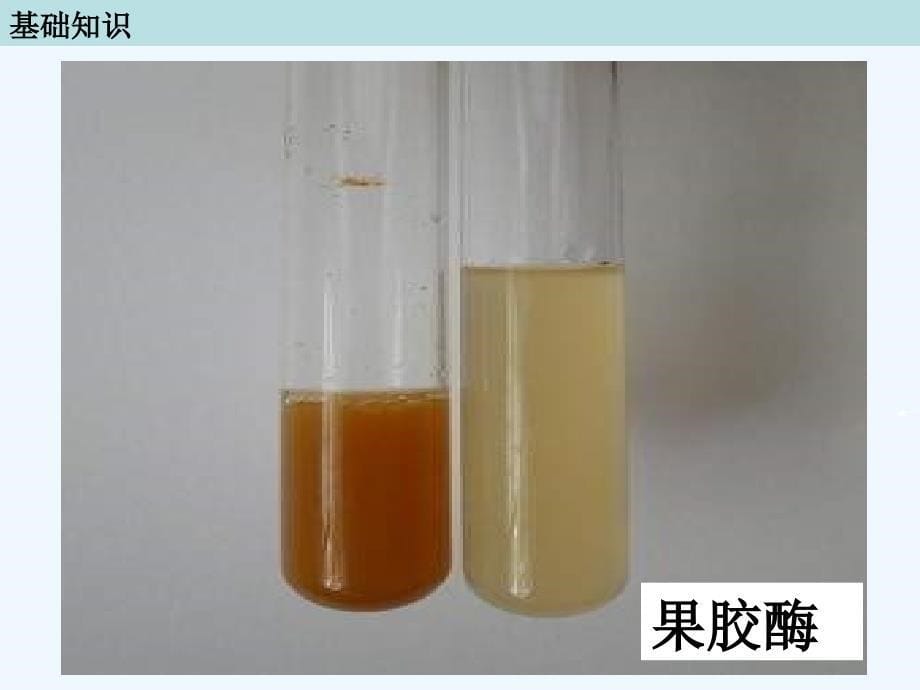 人教版选修一课题1《果胶酶在果汁生产中的作用》ppt课件_第5页