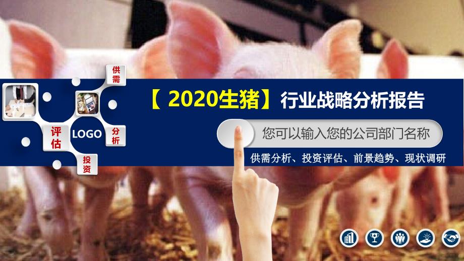 2020生猪行业战略分析报告_第1页