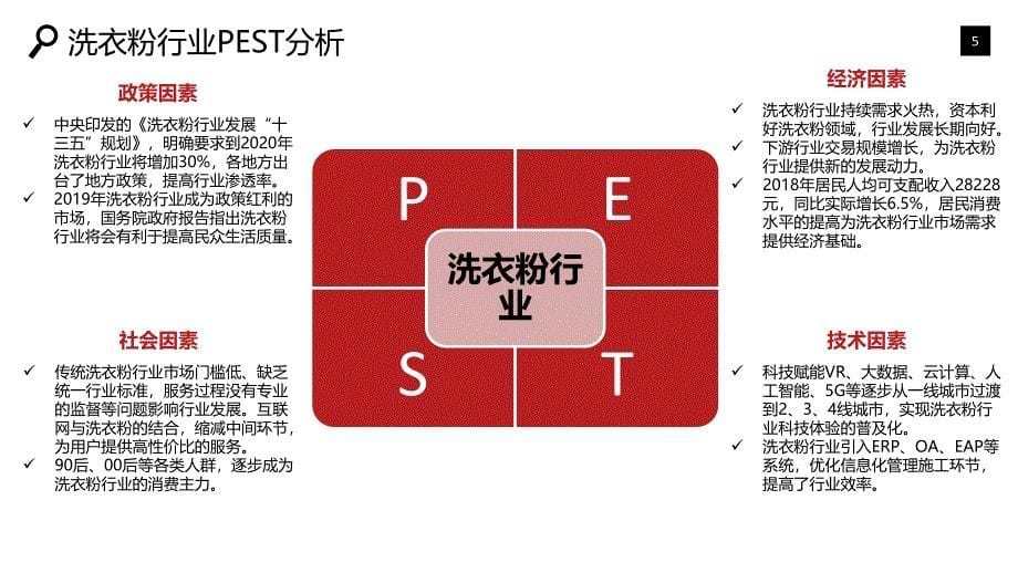 2020洗衣粉行业战略分析报告_第5页