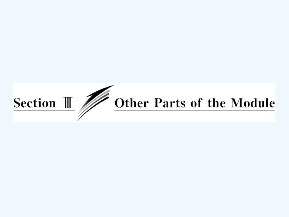 外研版高中英语必修3 Module 2《Developing and Developed Countries》（SectionⅢ）ppt课件_第4页