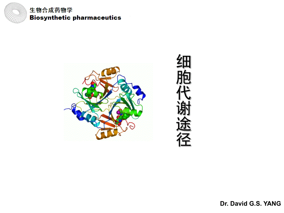 《细胞代谢基础》PPT课件.ppt_第1页